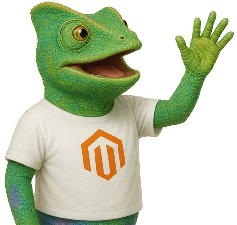 Magento 2 est loin d'être intuitif, apprenez à le maîtriser.