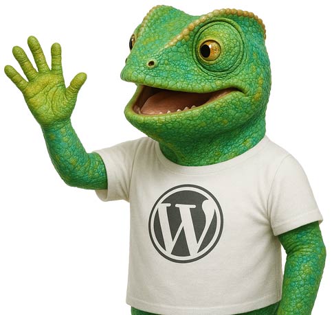 Découvrez les bonnes pratiques pour maîtriser la puissance de WordPress